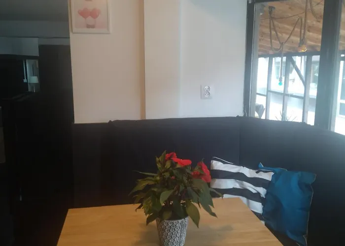 Good Vibes אכסניה